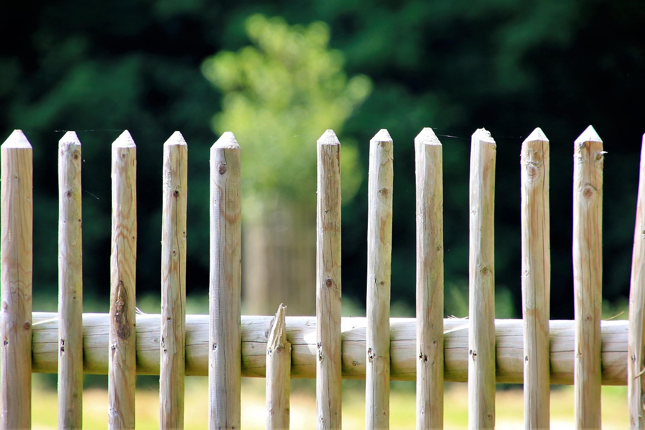 Persoon installeert verticale tuin op balkon.